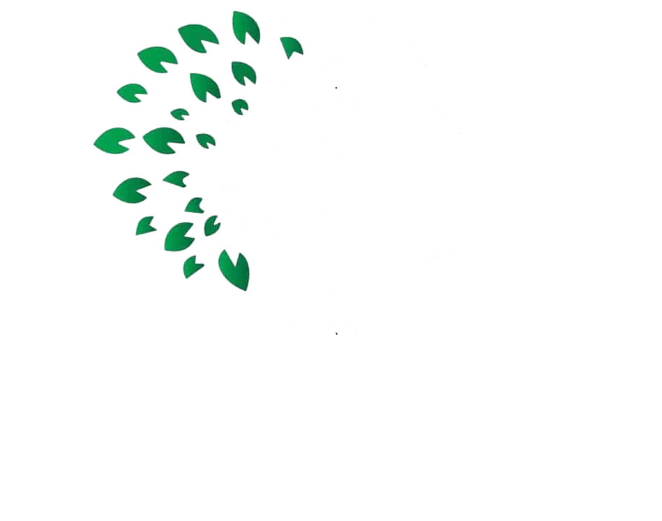 Dr Klinik Psikolog Özlem Koç Özden